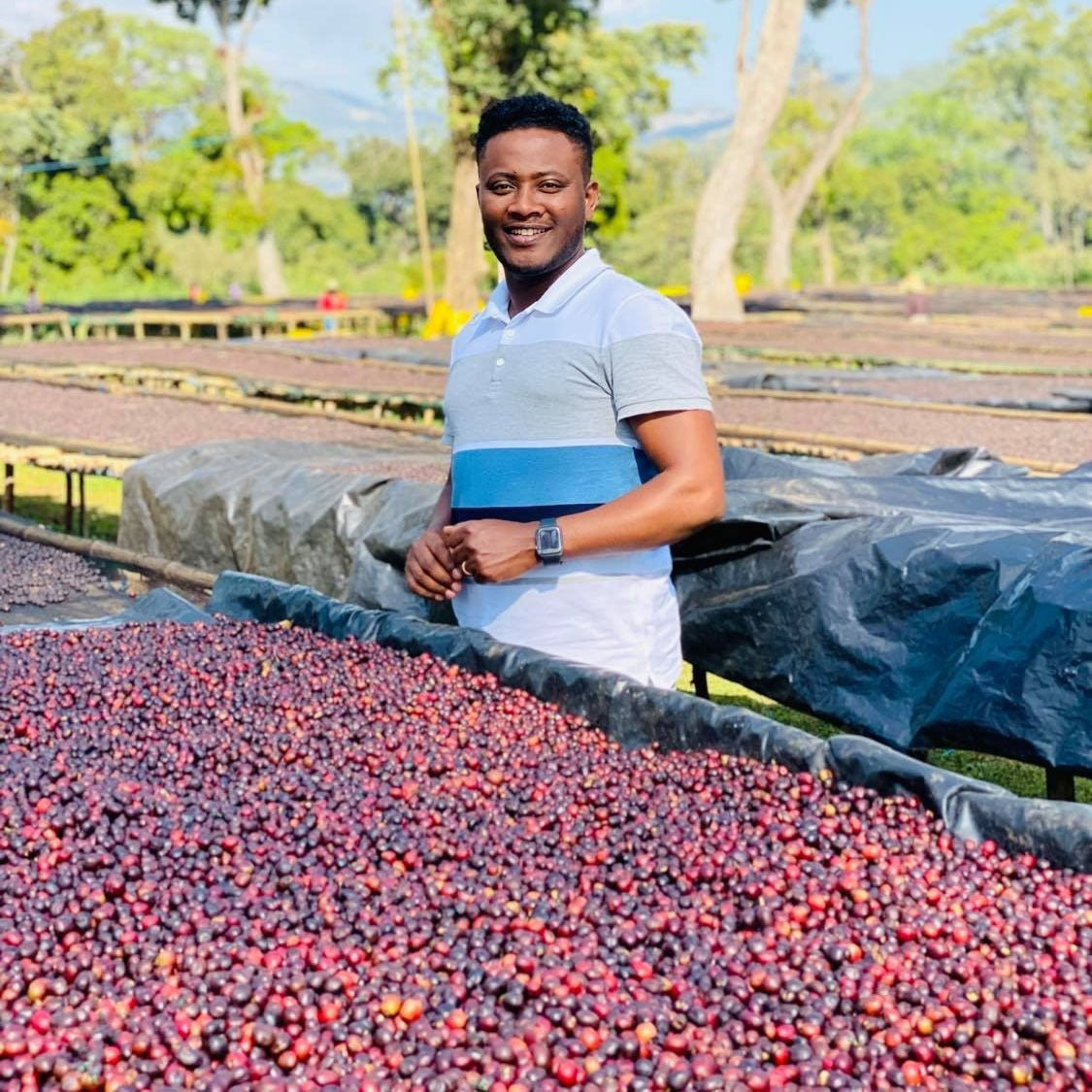 ETHIOPIA ALO Lubuti Natural