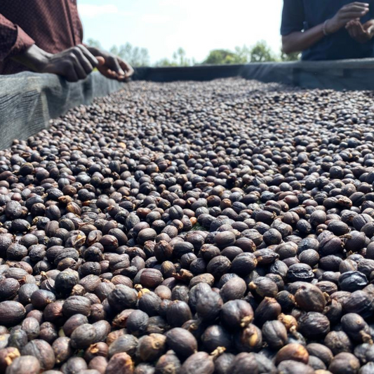 KENYA Nyeri Union Natural