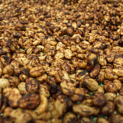 ECUADOR La Josefina Bourbon Sidra Red Honey