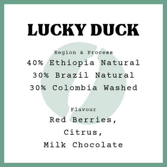 LUCKY DUCK