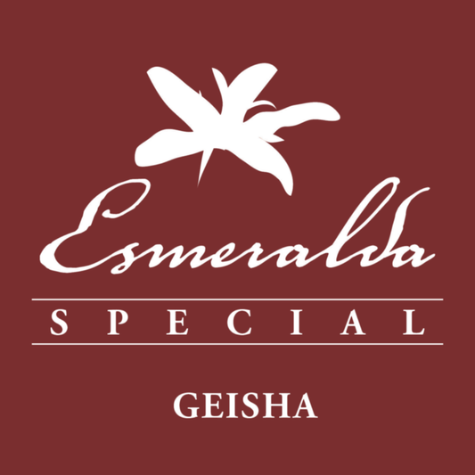 PANAMA Hacienda la Esmeralda Geisha Lino 8 BANC