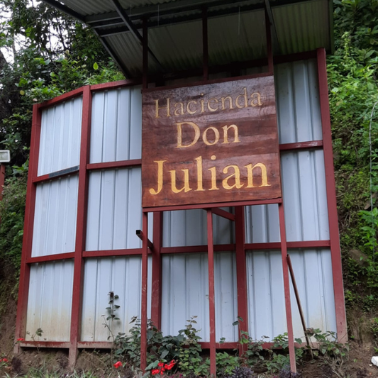 PANAMA Finca Don Julian Typica Washed